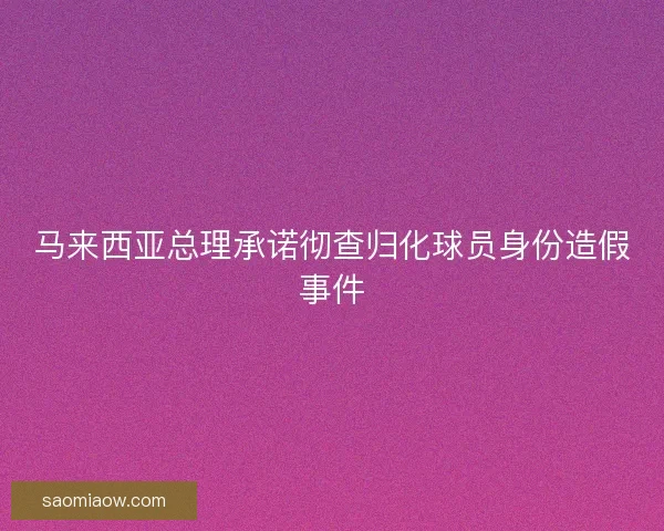 马来西亚总理承诺彻查归化球员身份造假事件