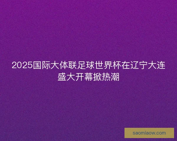 2025国际大体联足球世界杯在辽宁大连盛大开幕掀热潮