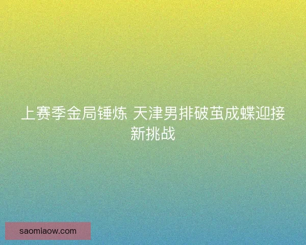 上赛季金局锤炼 天津男排破茧成蝶迎接新挑战