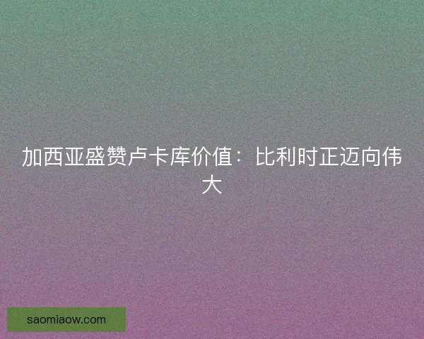 加西亚盛赞卢卡库价值：比利时正迈向伟大